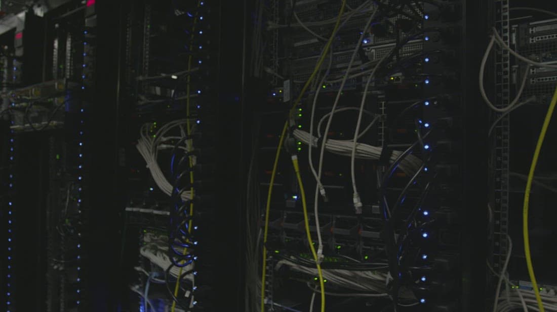 Network cables connected to hosting servers in a data centre